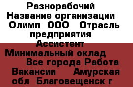 Разнорабочий › Название организации ­ Олимп, ООО › Отрасль предприятия ­ Ассистент › Минимальный оклад ­ 25 000 - Все города Работа » Вакансии   . Амурская обл.,Благовещенск г.